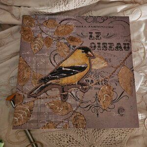 Goldfinch Framed Art Print